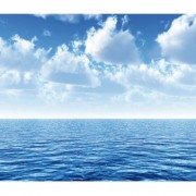 Fotomural-con-engrudo-no7-SILENT-OCEAN-400x280cm-0-0