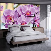 Fotomural orquideas